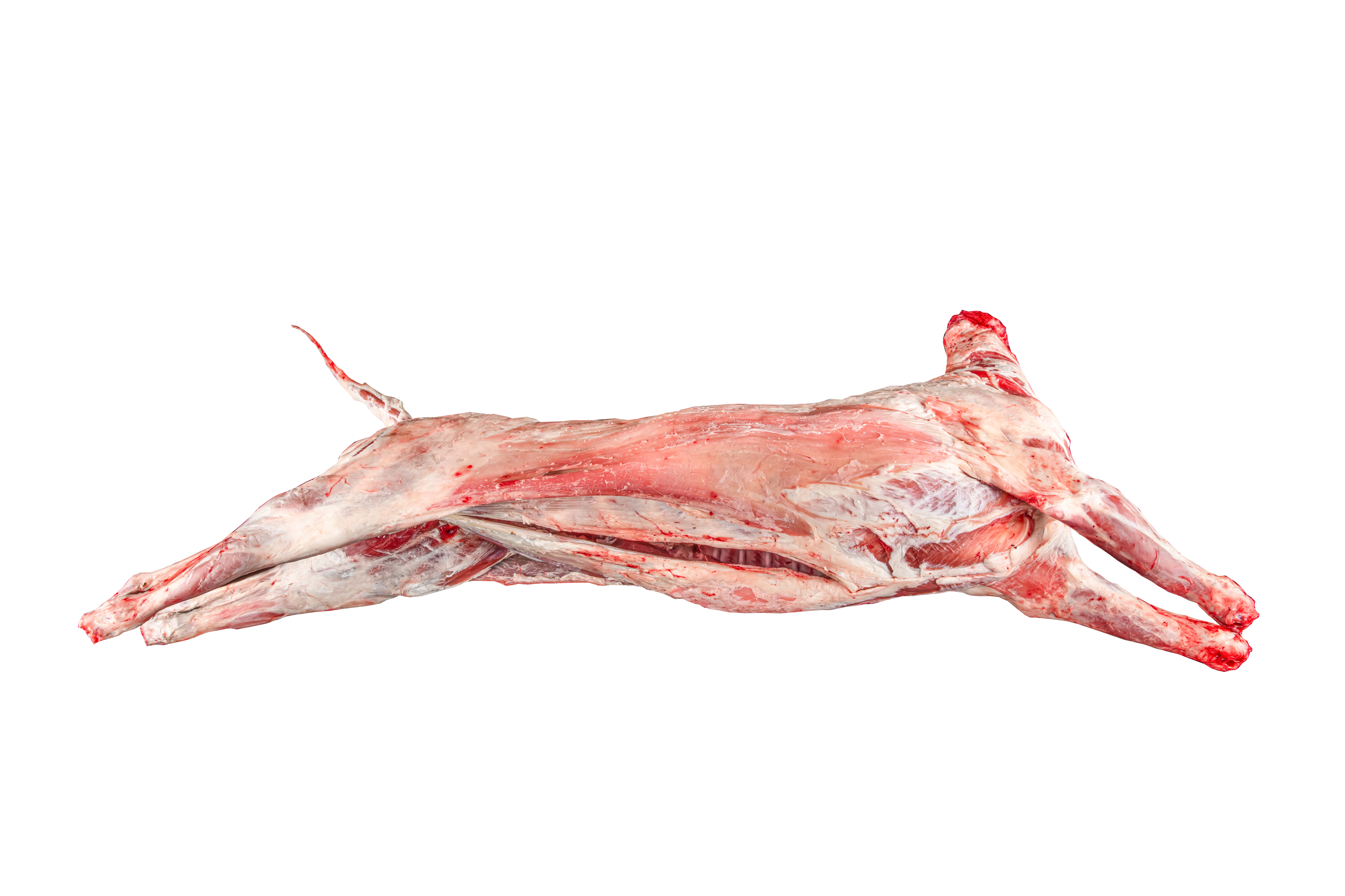 Hele schapen per kg