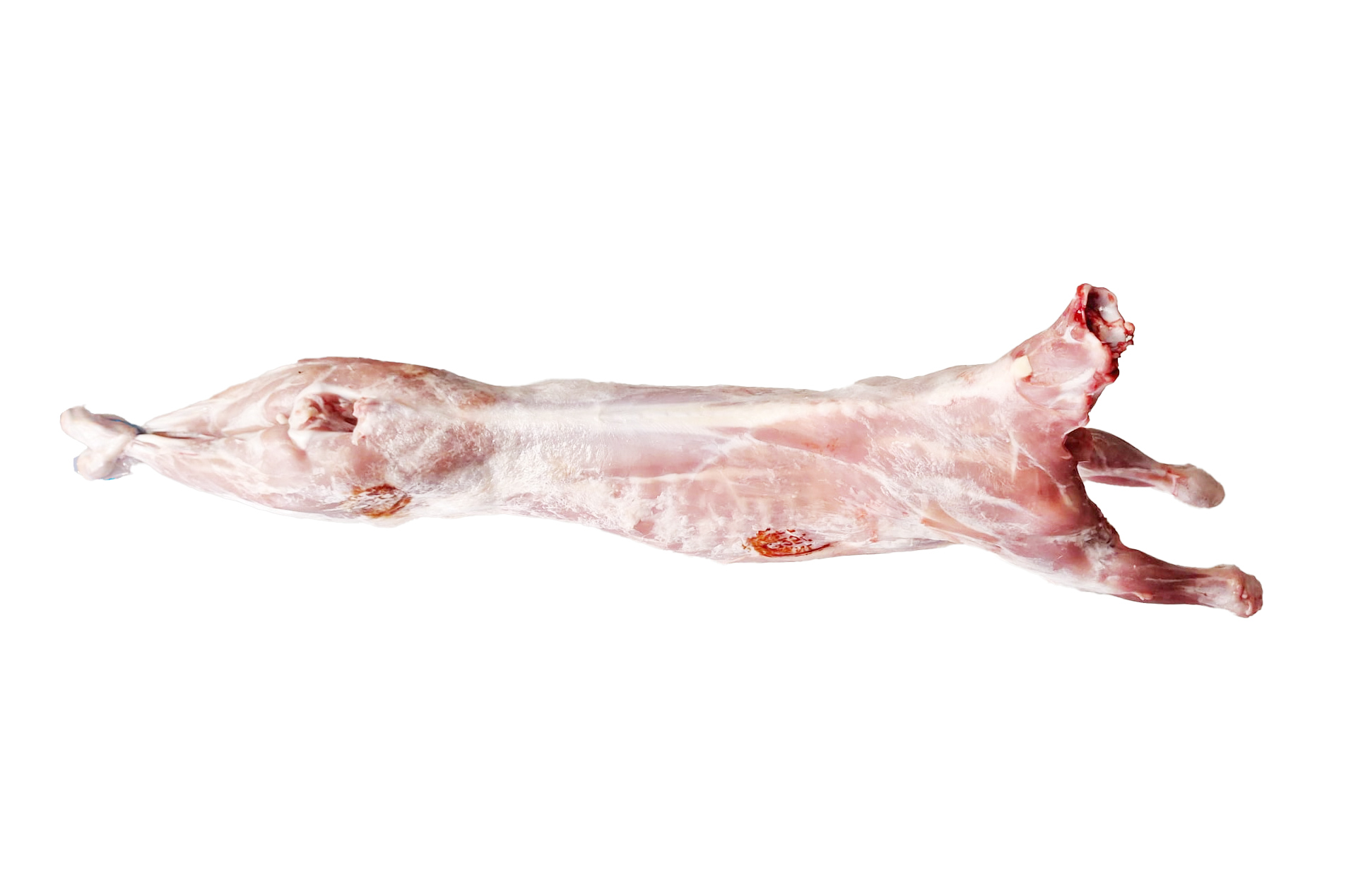 Geiten - kleine bokjes per kg