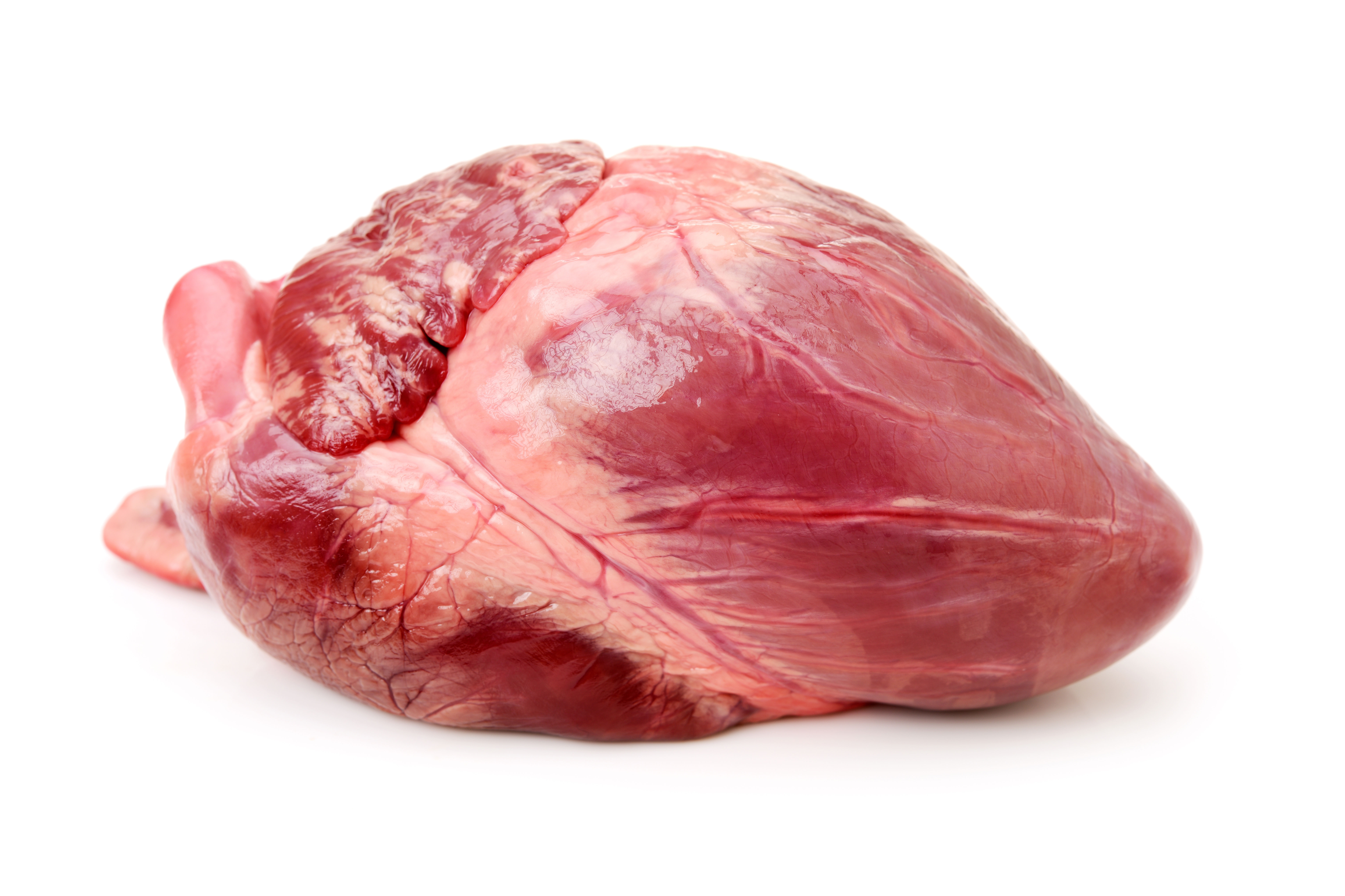 Runder hart/nieren per kg